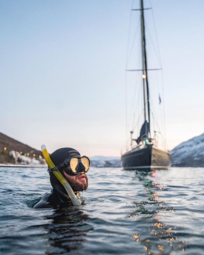 Diving with whales in the Arctic