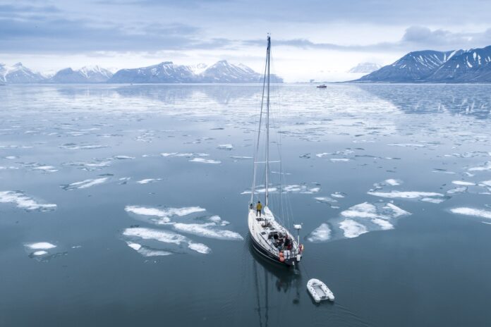Isbjørn sailing in to ice on Svalbard